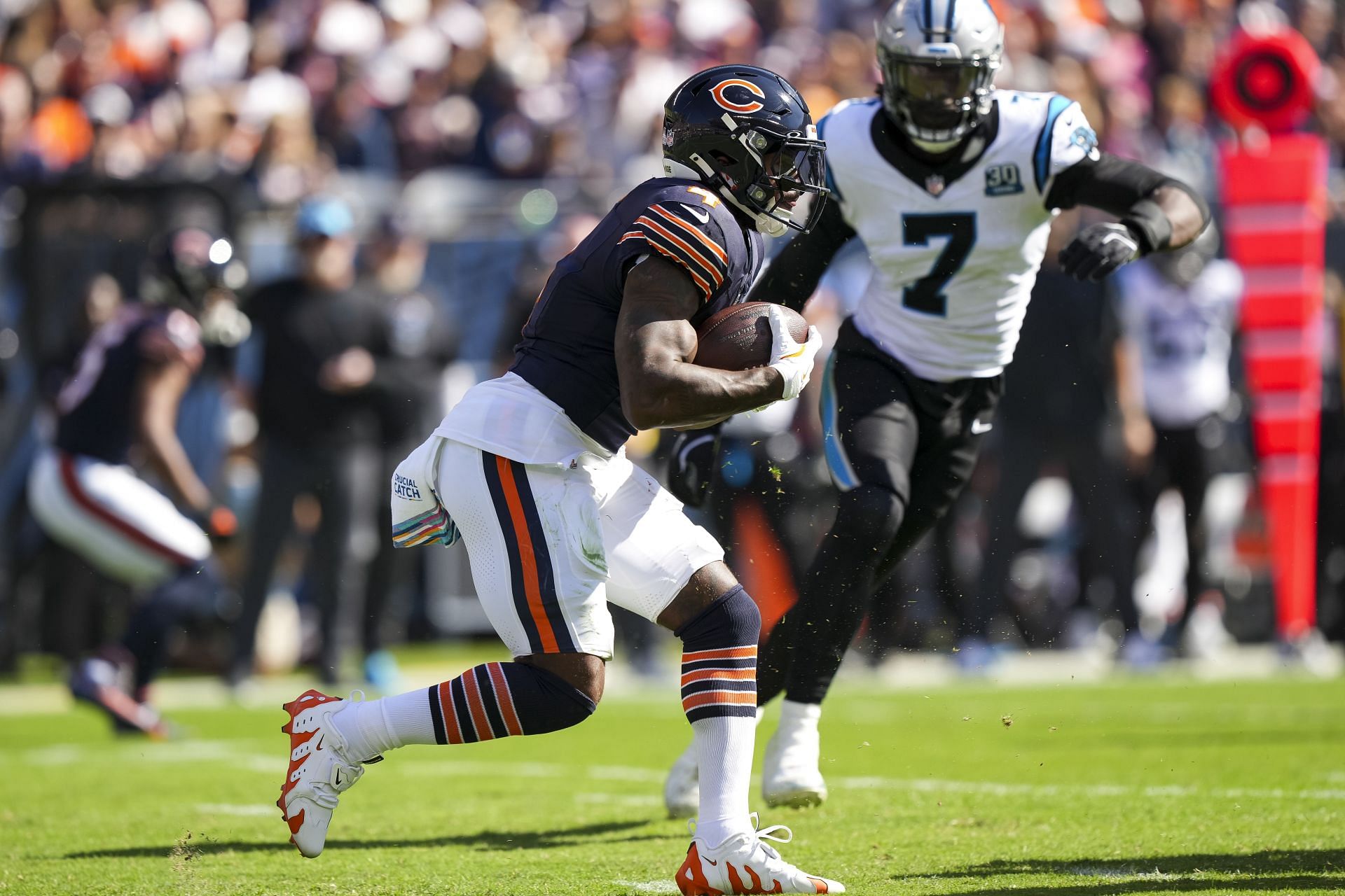 Carolina Panthers v Chicago Bears (Image Source: Getty)