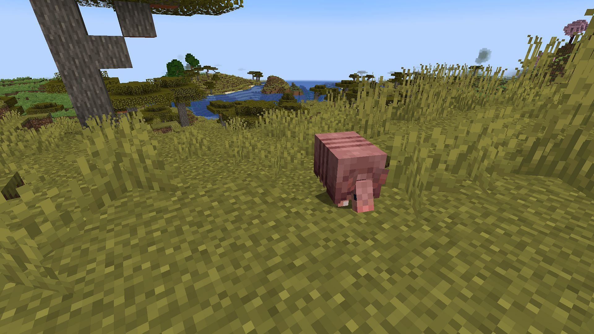 Armadillo spawn in Savanna and Badlands biome (Image via Mojang)