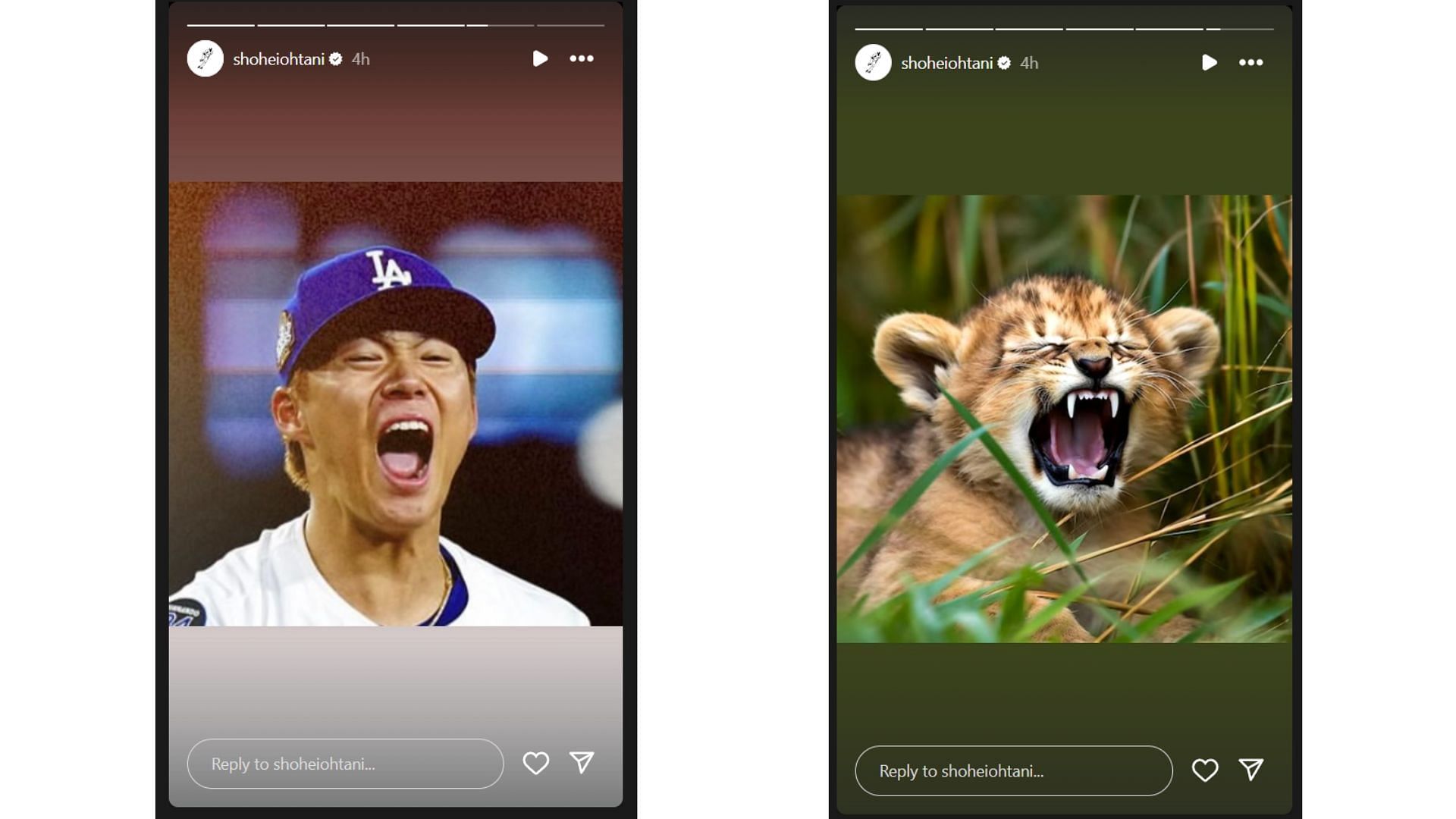 Shohei Ohtani&#039;s Instagram story