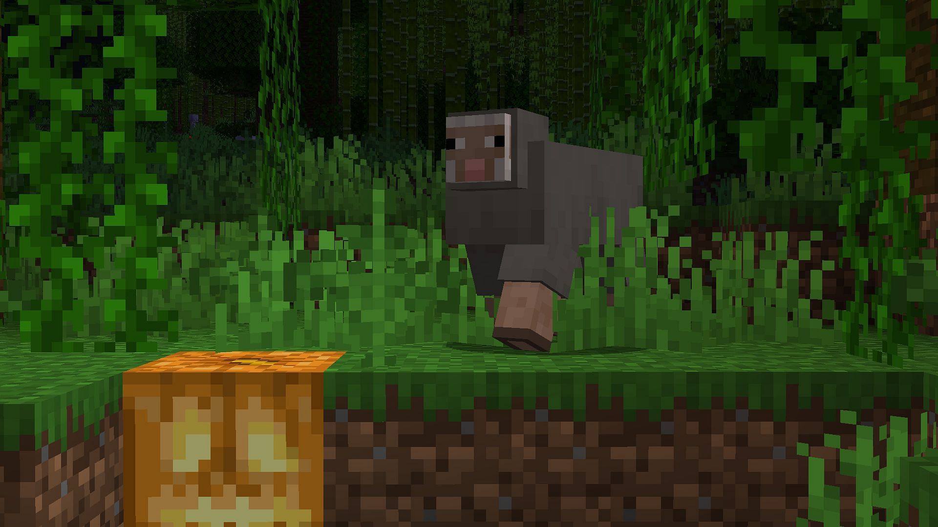 Carved pumpkins can be enchanted (Image via Mojang Studios)