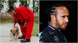 Lewis Hamilton's pet Roscoe faces health scare, trainer shares update