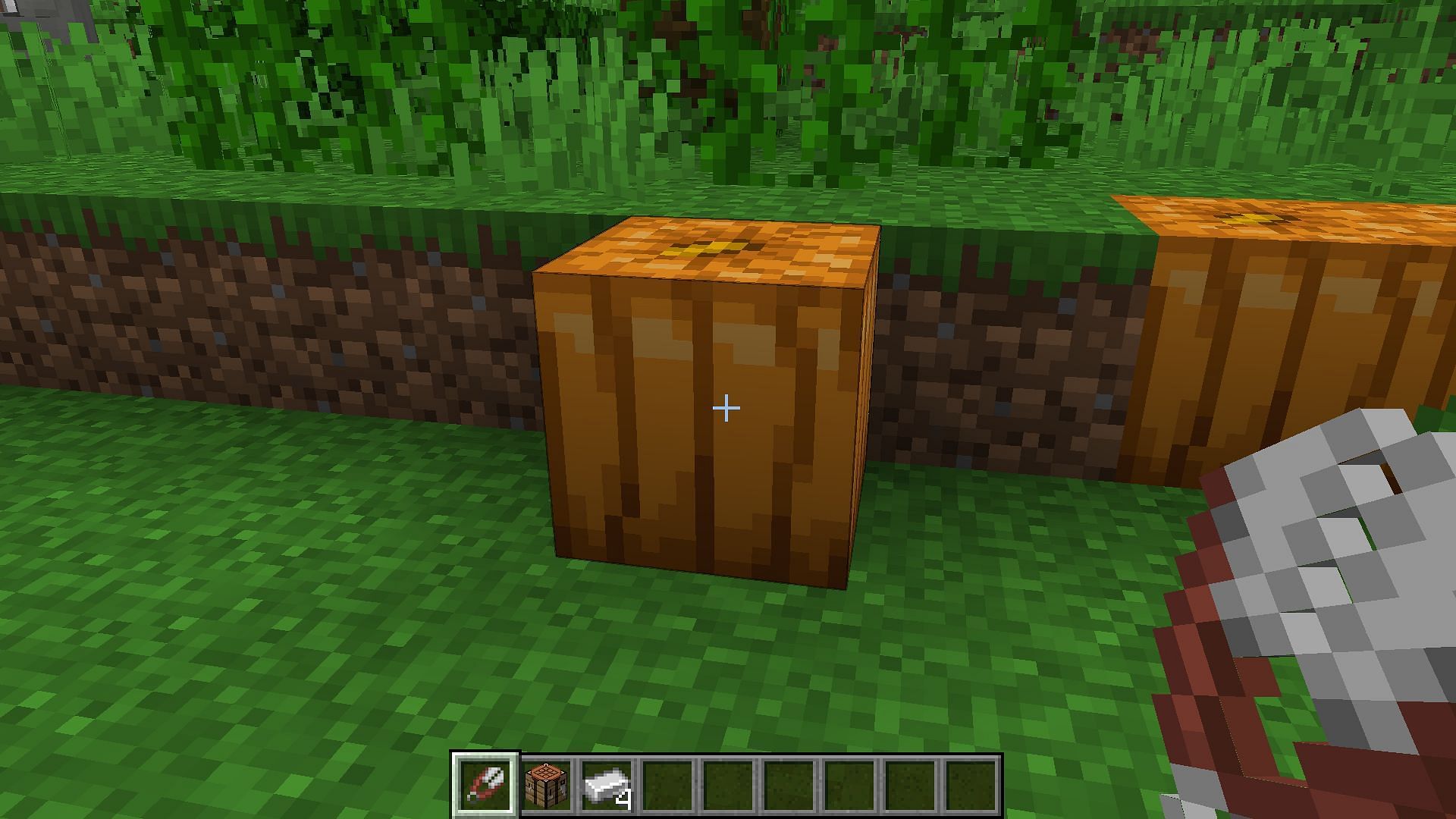 Grab your shears and interact with the pumpkin (Image via Mojang Studios)