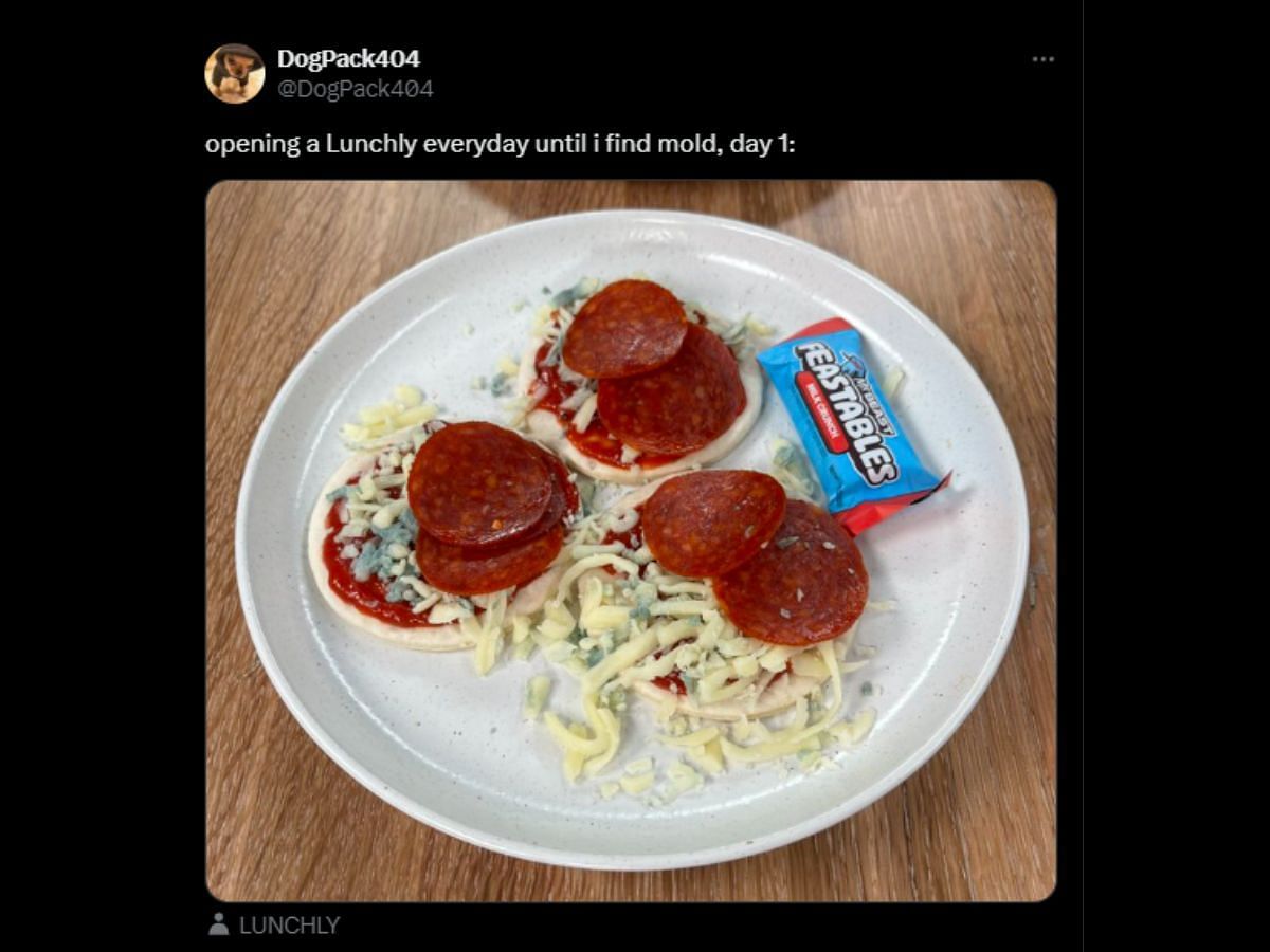 DogPack404 alleges the cheese in Lunchly contains mold (Image via X/DogPack404)