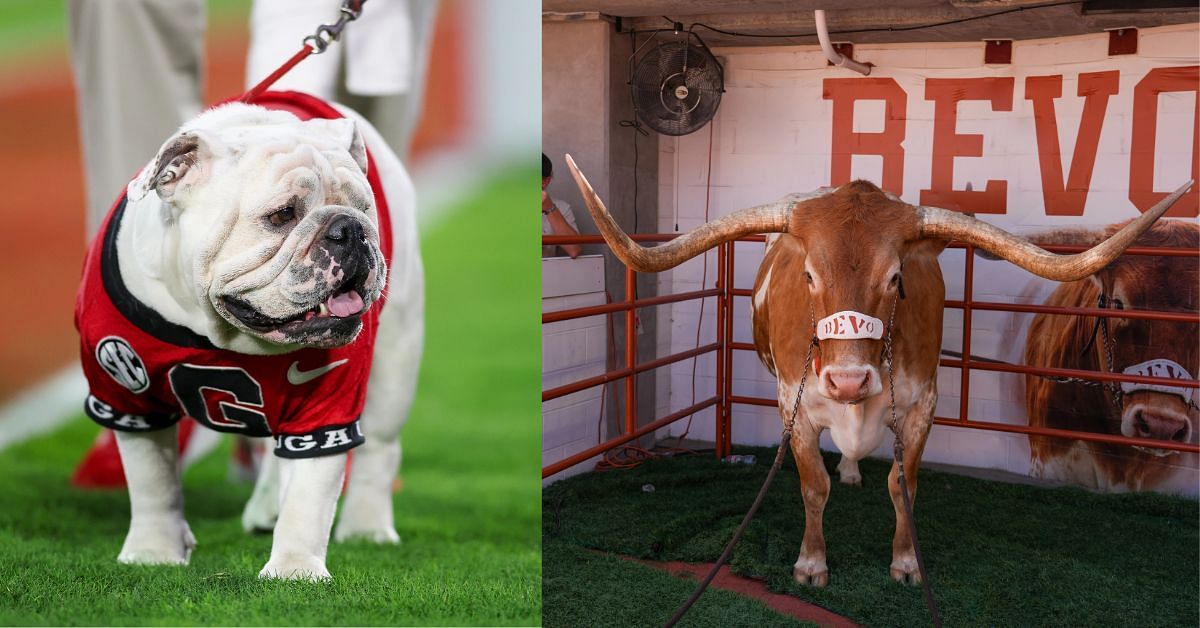 Georgia mascot Uga not present in Austin