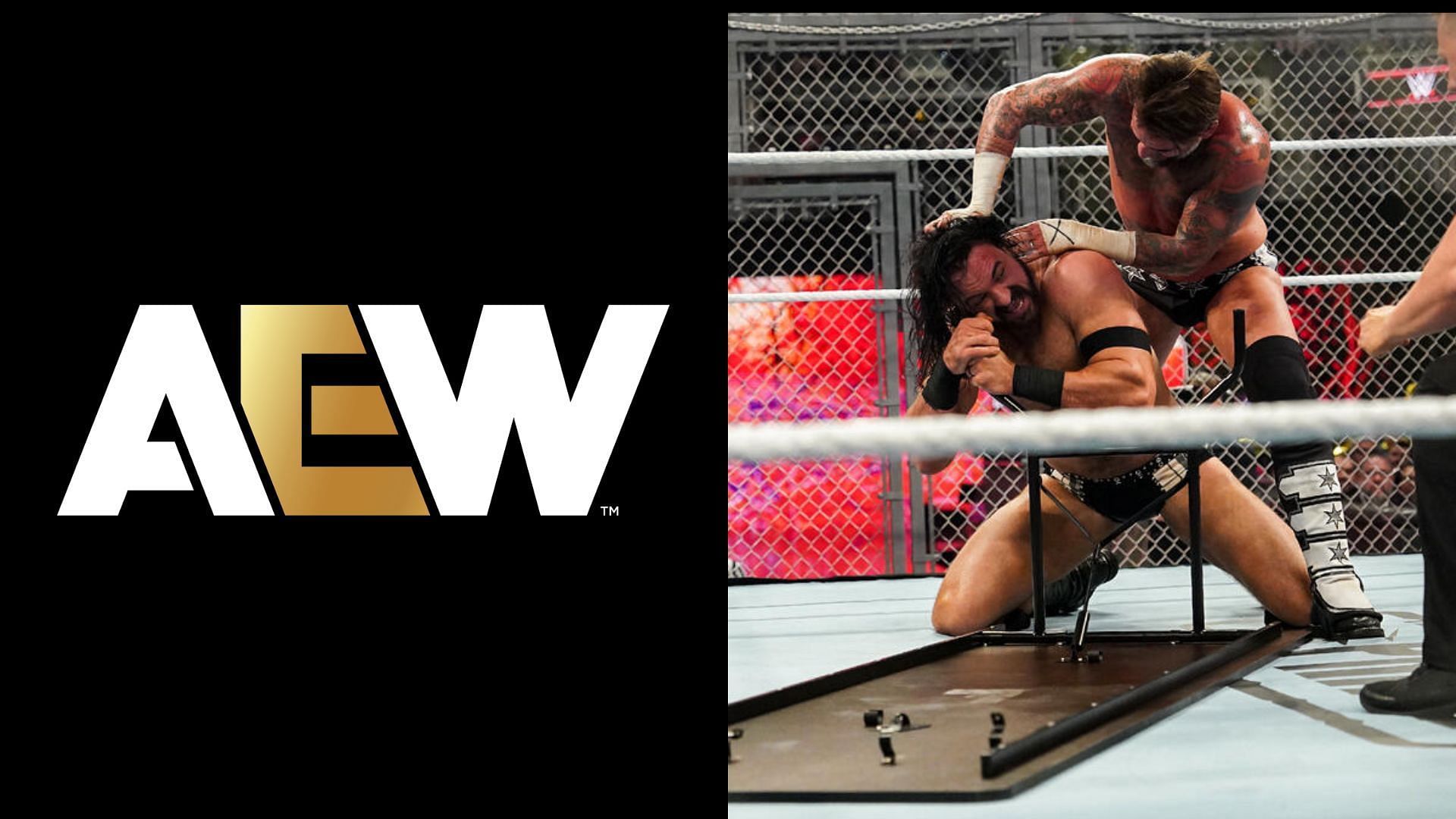 CM Punk and Drew McIntyre faced off in a Hell in a Cell match earlier tonight [Photo: AEW and WWE Official Websites]