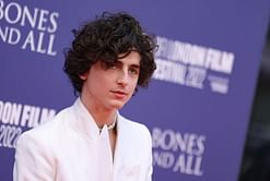 Fact check: Is Timothee Chalamet arrested? Exploring rumors