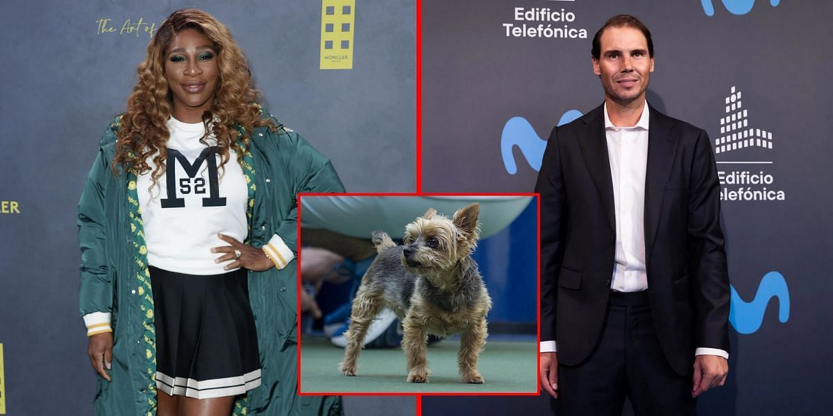 Serena Williams (L), Rafael Nadal (R), Williams