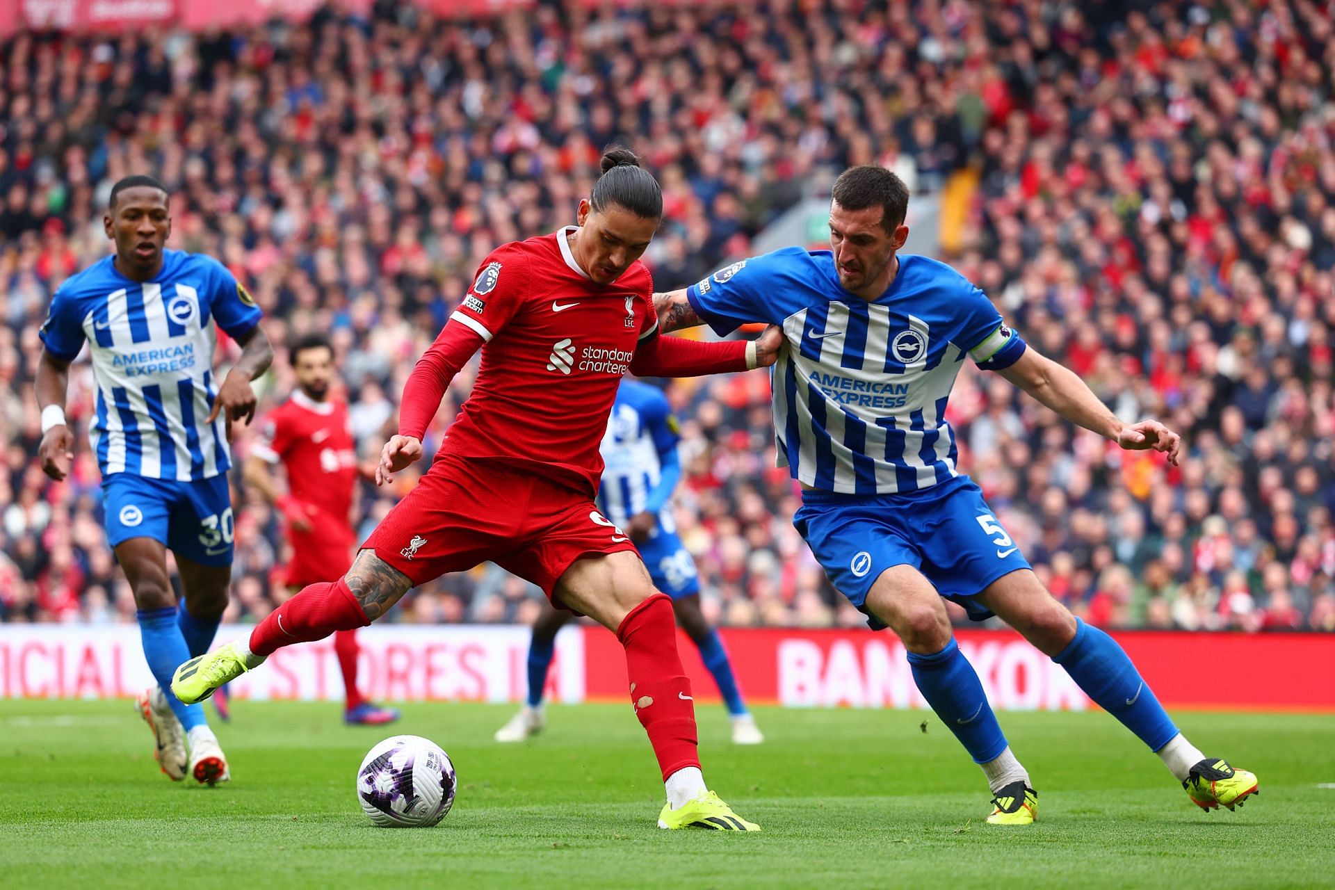 Liverpool FC v Brighton &amp; Hove Albion - Premier League - Source: Getty