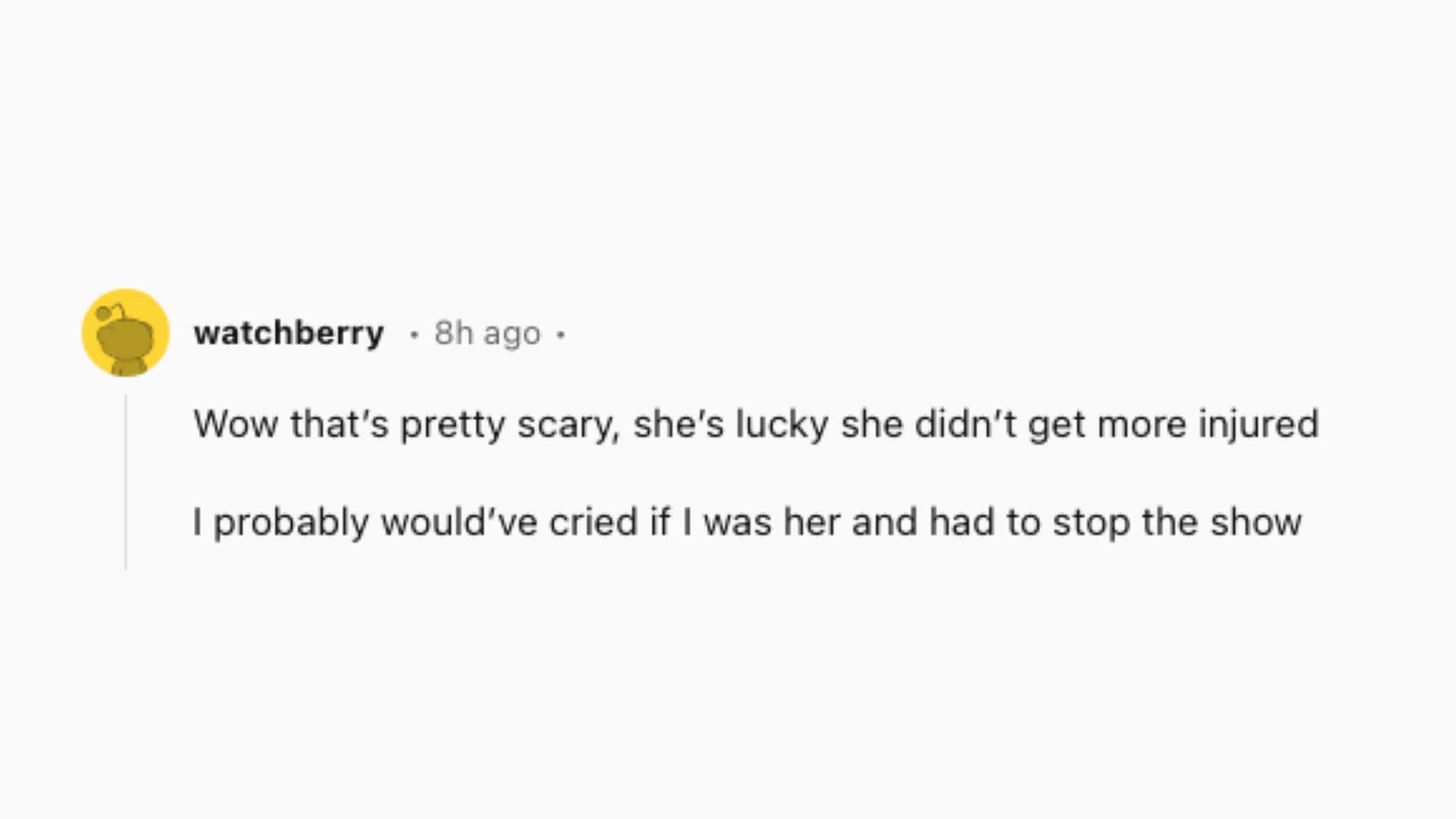 A fan comments on Olivia Rodrigo&#039;s fall at the Melbourne concert (Image via @watchberry/ Reddit)