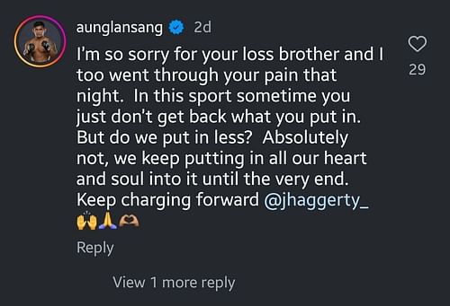 Screenshot of Aung La N Sang's comment. [Jonathan Haggerty/Instagram, screenshot]