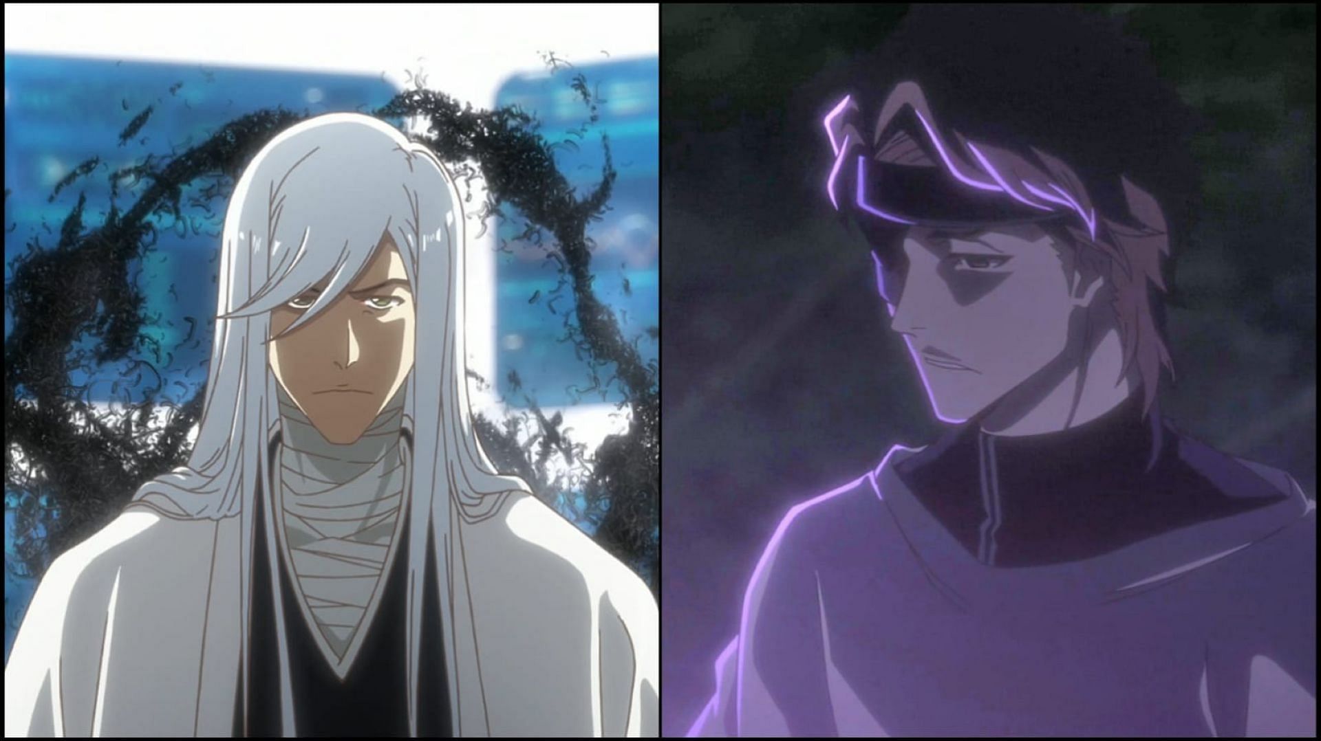 Jushiro Ukitake and Sosuke Aizen in Bleach TYBW episode 29 (Image via Pierrot Films)