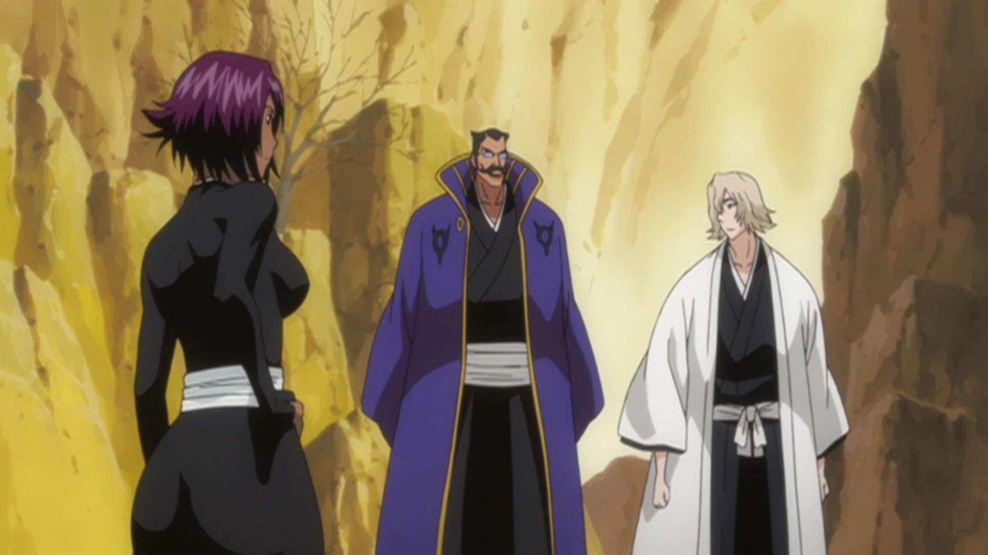 Yoruichi, Tessai, and Urahara as shown in the Bleach anime (Image via Studio Pierrot)