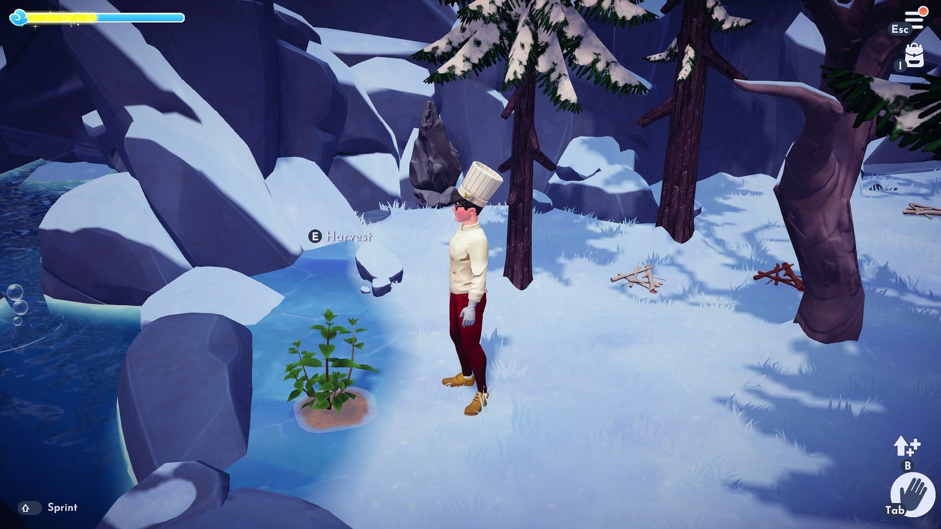 Frosted Heights boasts Mint plants (Image via Gameloft)