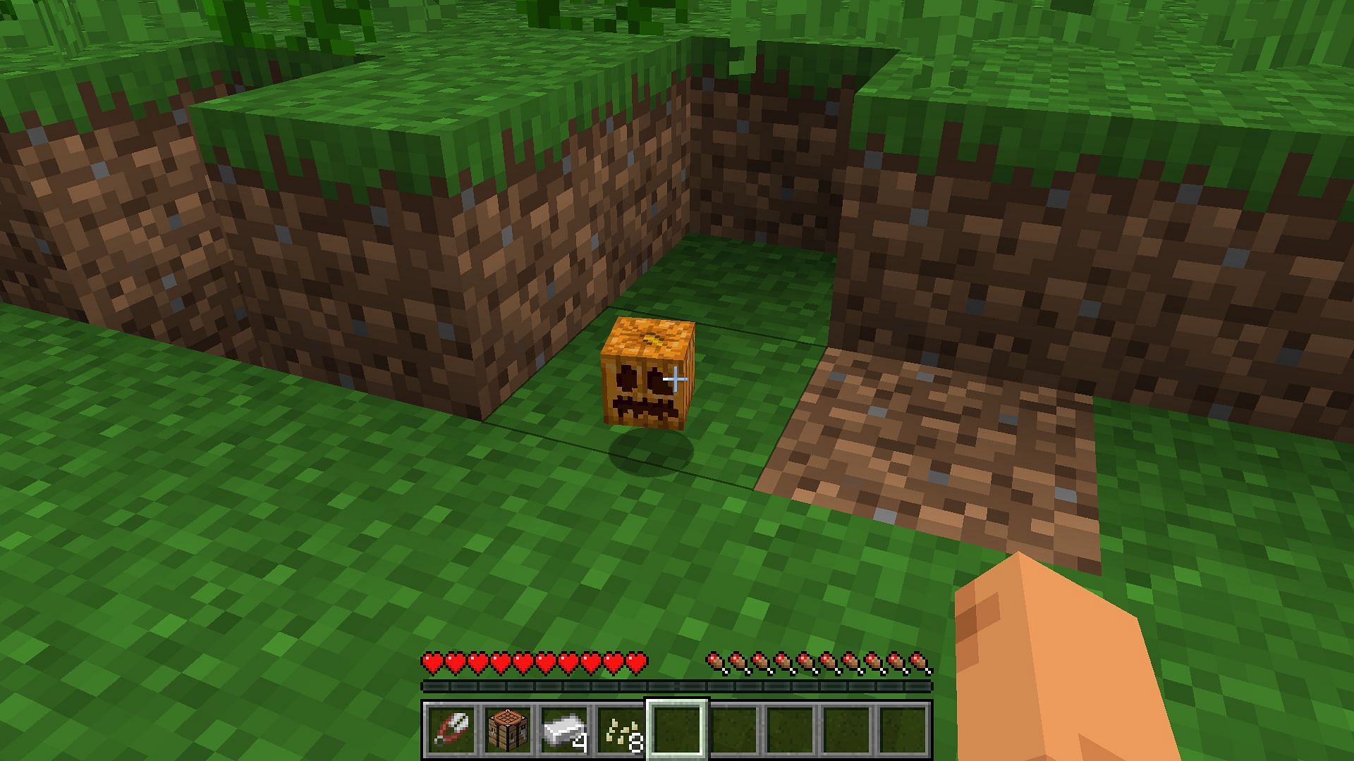 You will find a carved pumpkin floating on the ground (Image via Mojang Studios)