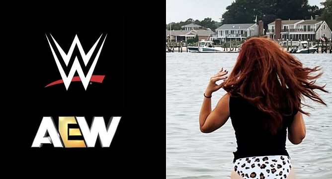 Former WWE star expects to leave AEW, will take bookings in December post-surgery