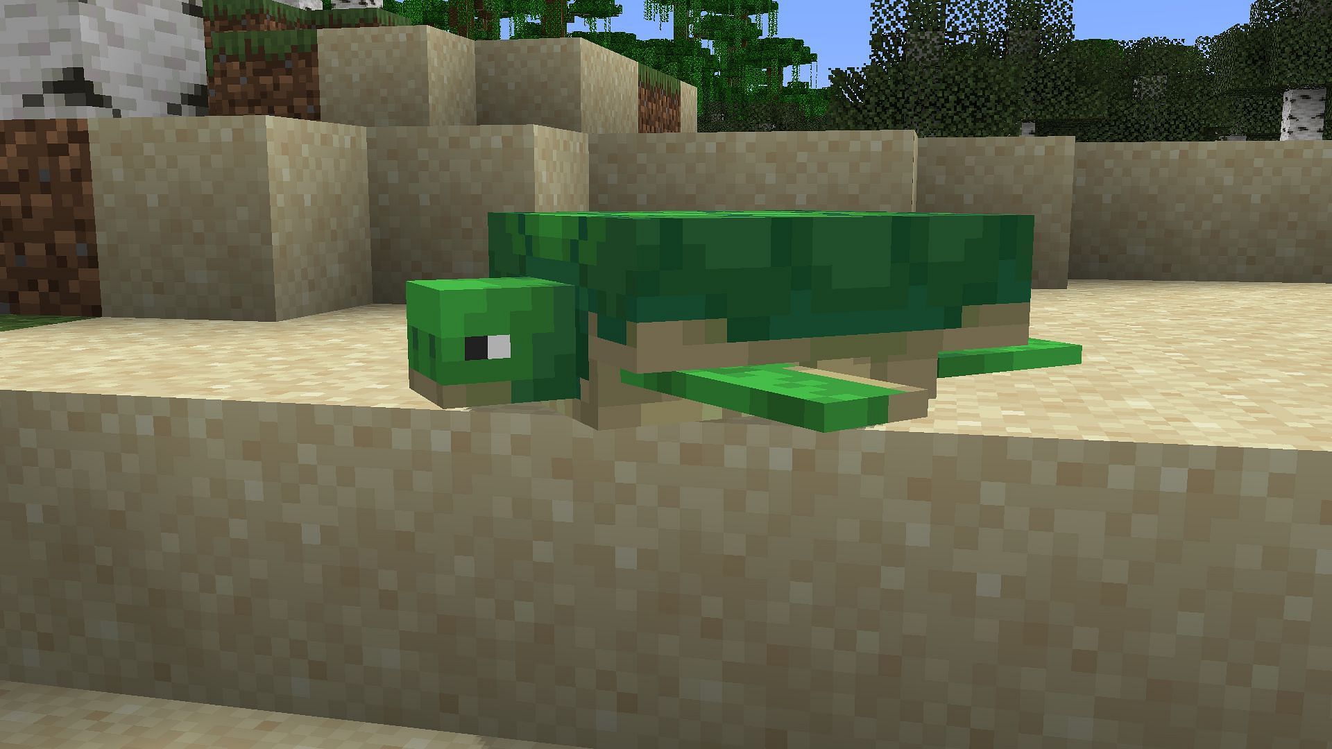 Turtles usually spawn near the beach (Image via Mojang Studios)