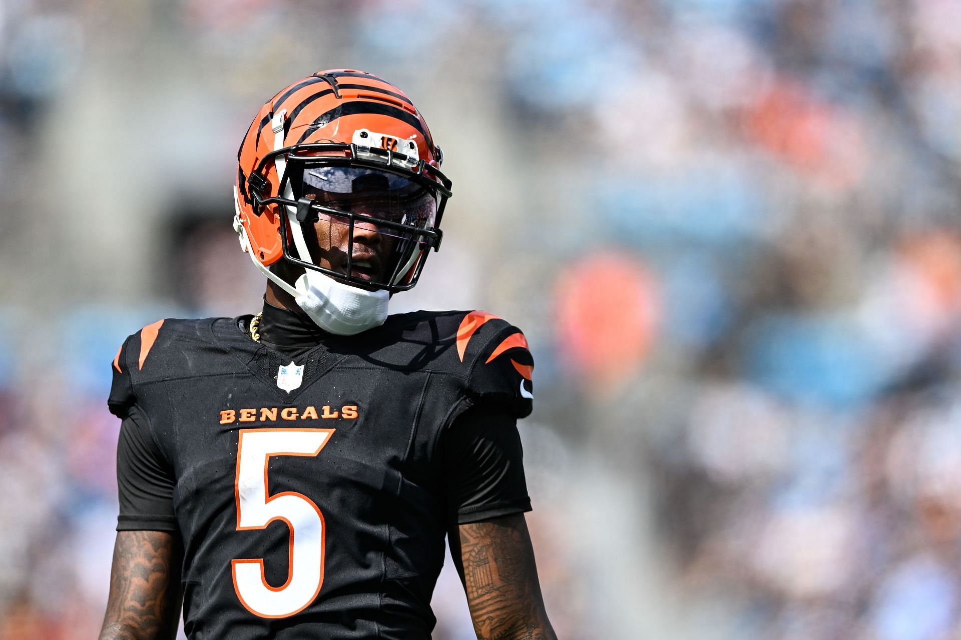 Tee Higgins at Cincinnati Bengals v Carolina Panthers - Source: Getty