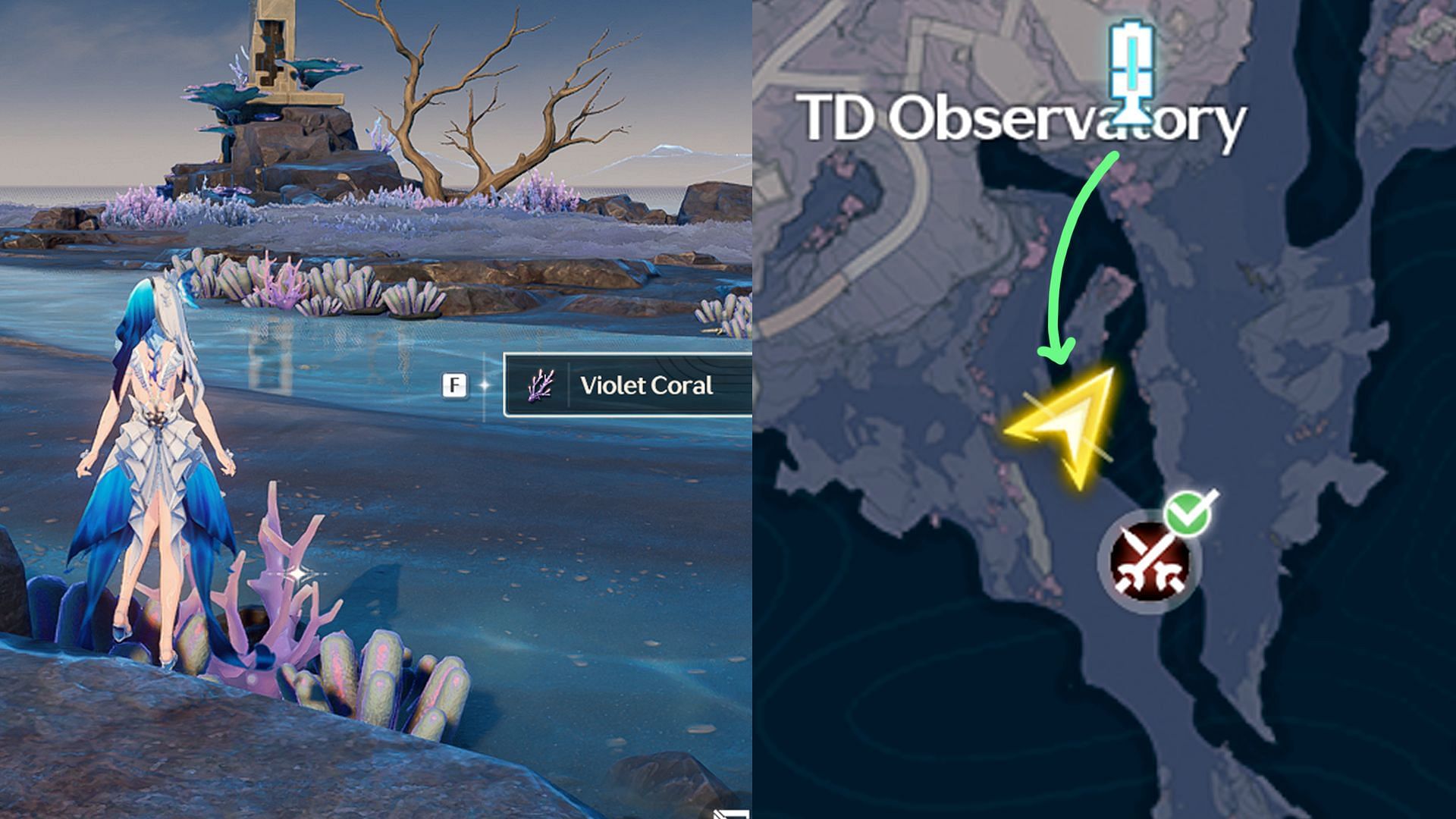 Route #2 for collecting Violet Coral in the TD Observatory area (Image via Kuro Games)