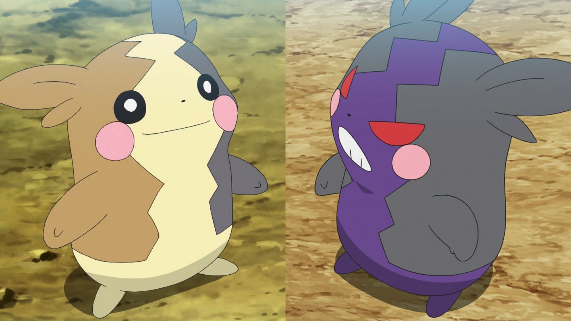 Morpeko&#039;s two forms in the anime (Image via TPC)