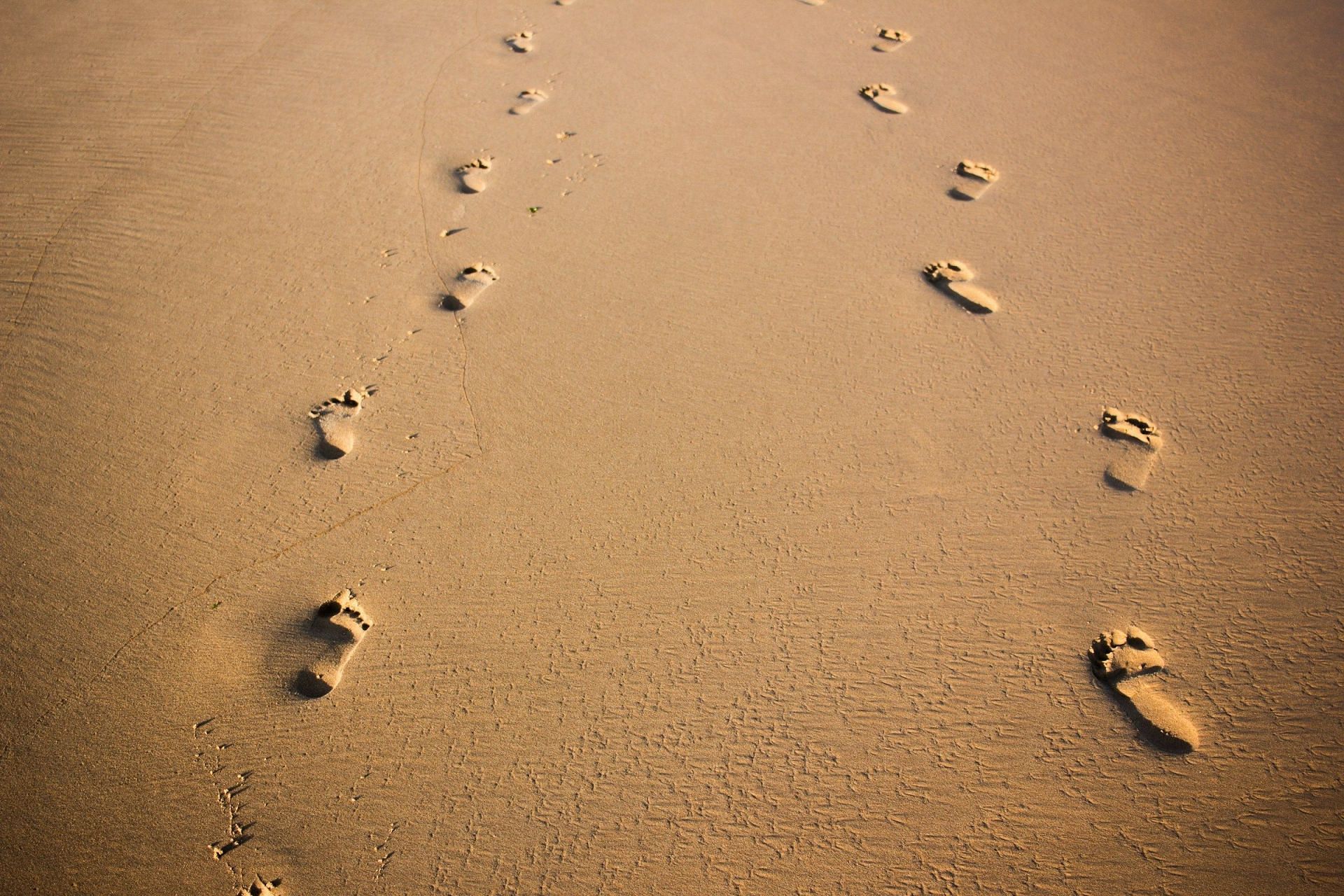 Footprints were found at the scene (Image by Felipe Correia/Unsplash)