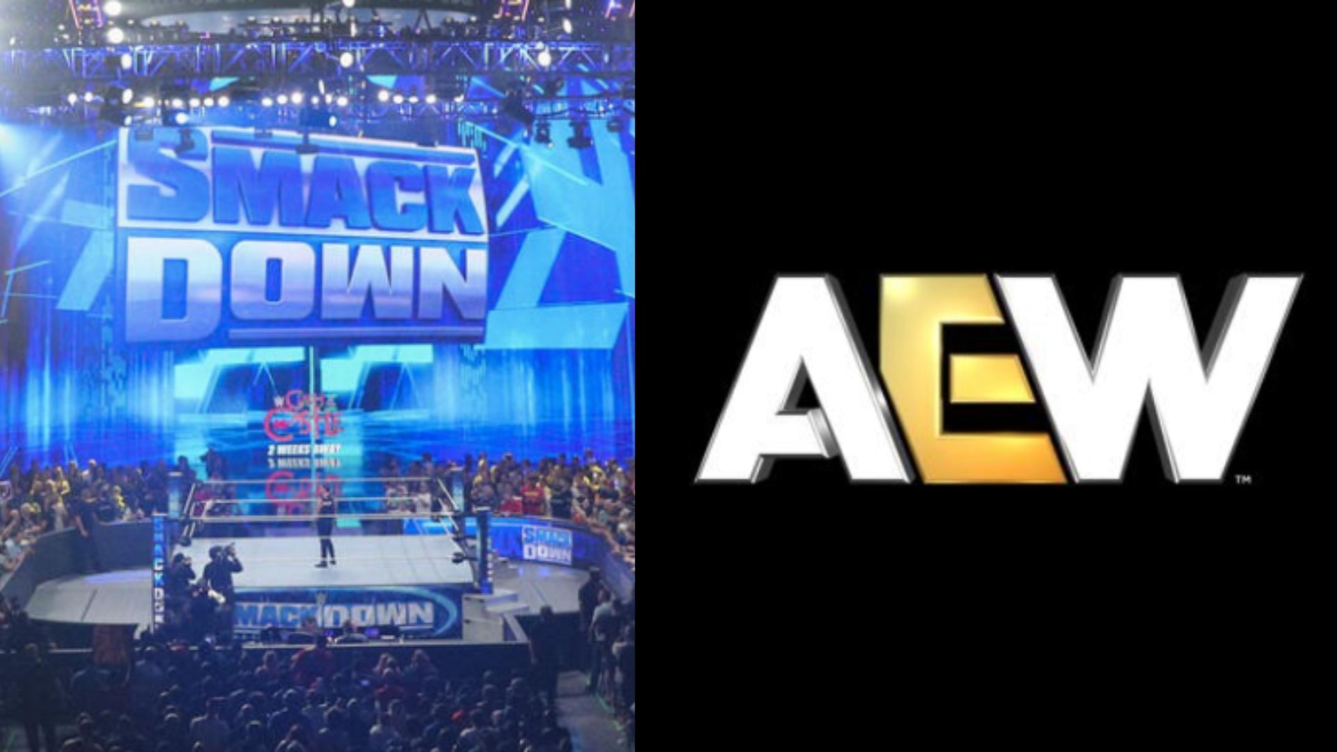 WWE and AEW are two of the top American pro-wrestling promotions [Image Credits: WWE