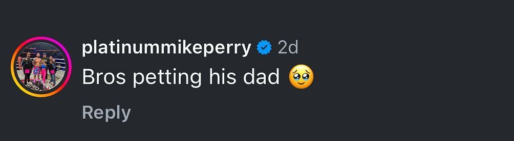 A screenshot of Mike Perry&#039;s comment