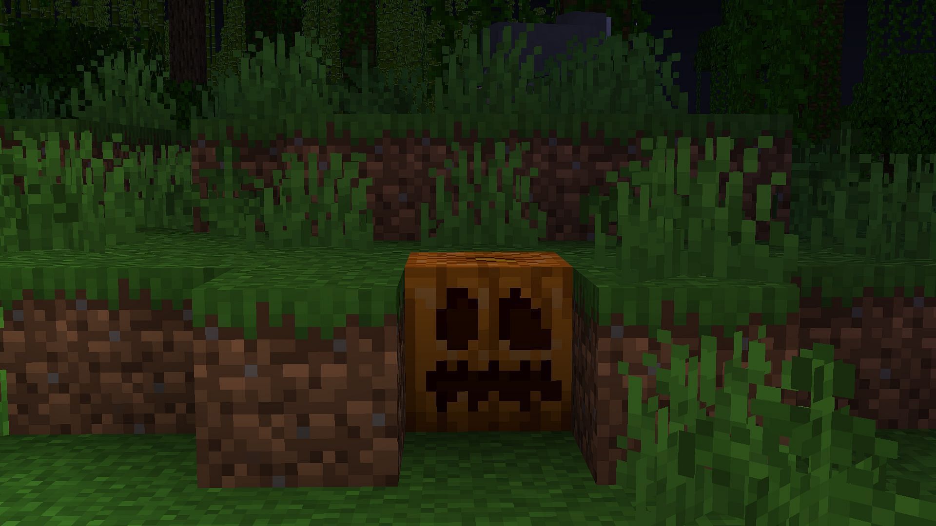 You will not find carved pumpkins in the wild (Image via Mojang Studios)