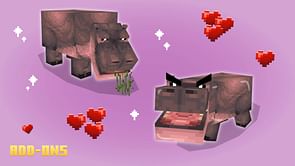 Minecraft Naturalist 2.0 add-on features baby hippos like viral sensation Moo Deng and other wild animals