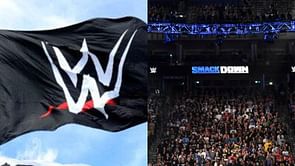 Current WWE champion makes a bold four-word claim days after a huge title defense
