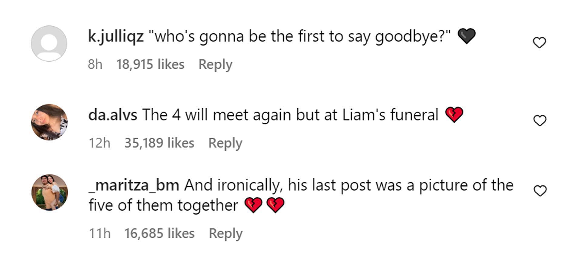 A comment reacting to the news (Image via Instagram/@liampayne)