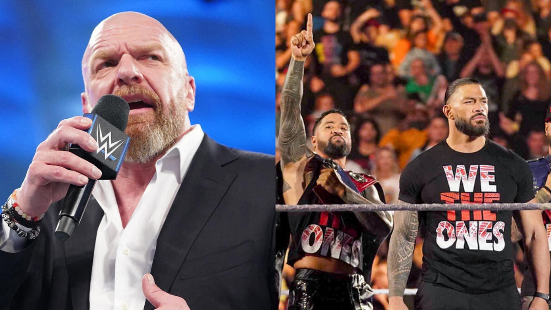 The star has been removed from the roster (Credit: WWE.com)