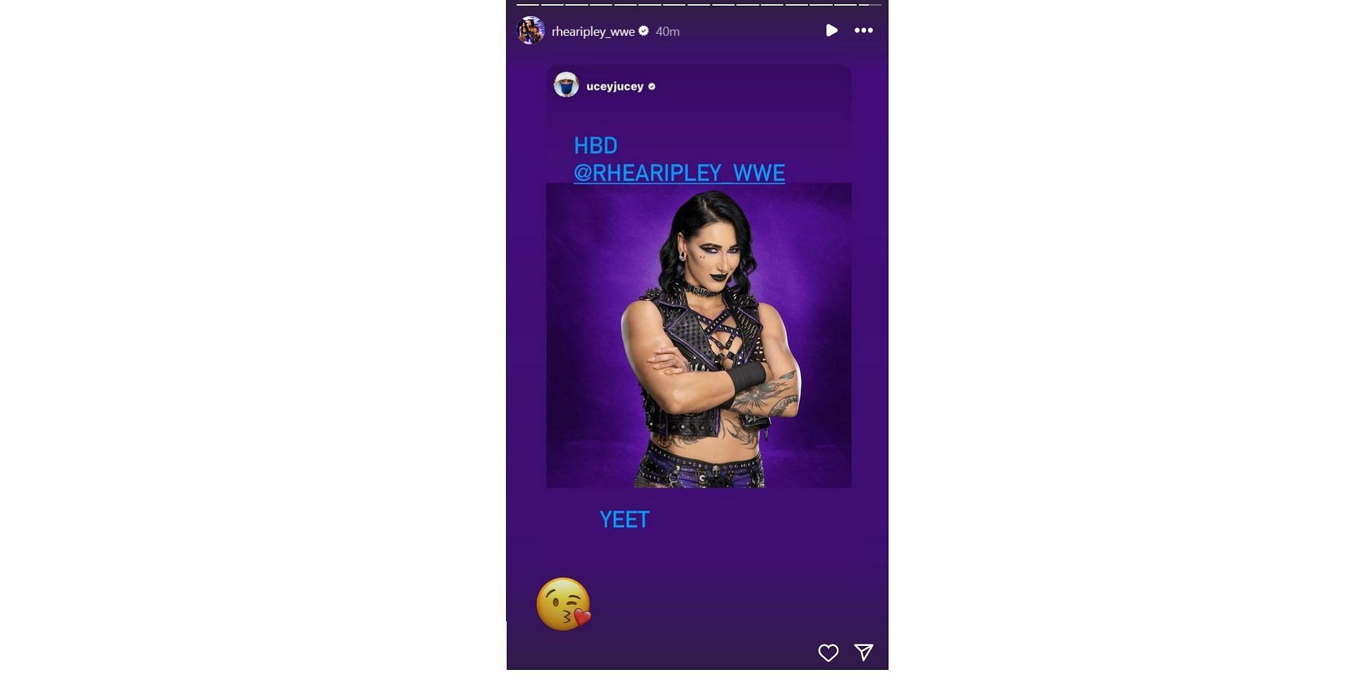 Mami responds [Photo Credit: Screenshot of Rhea Ripley&#039;s Instagram story]