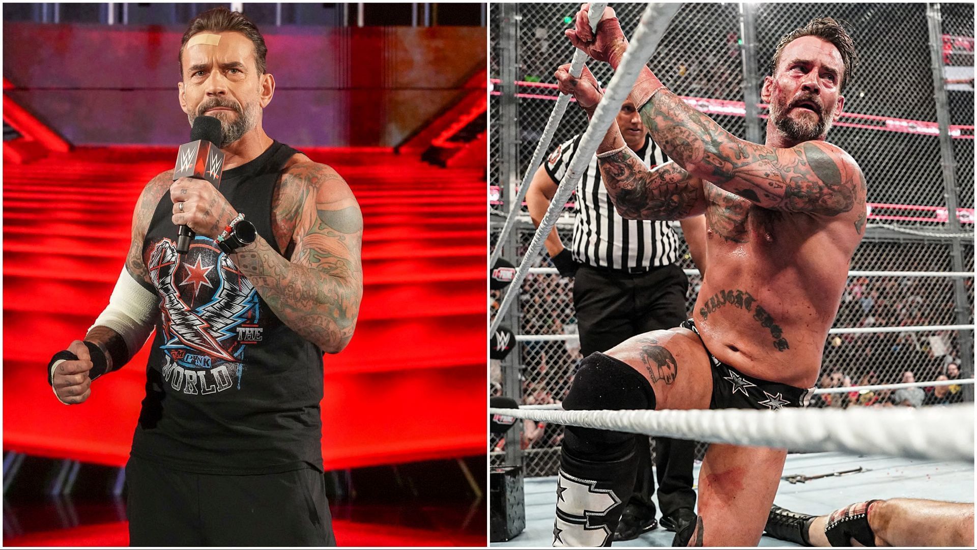 CM Punk on WWE RAW and Bad Blood