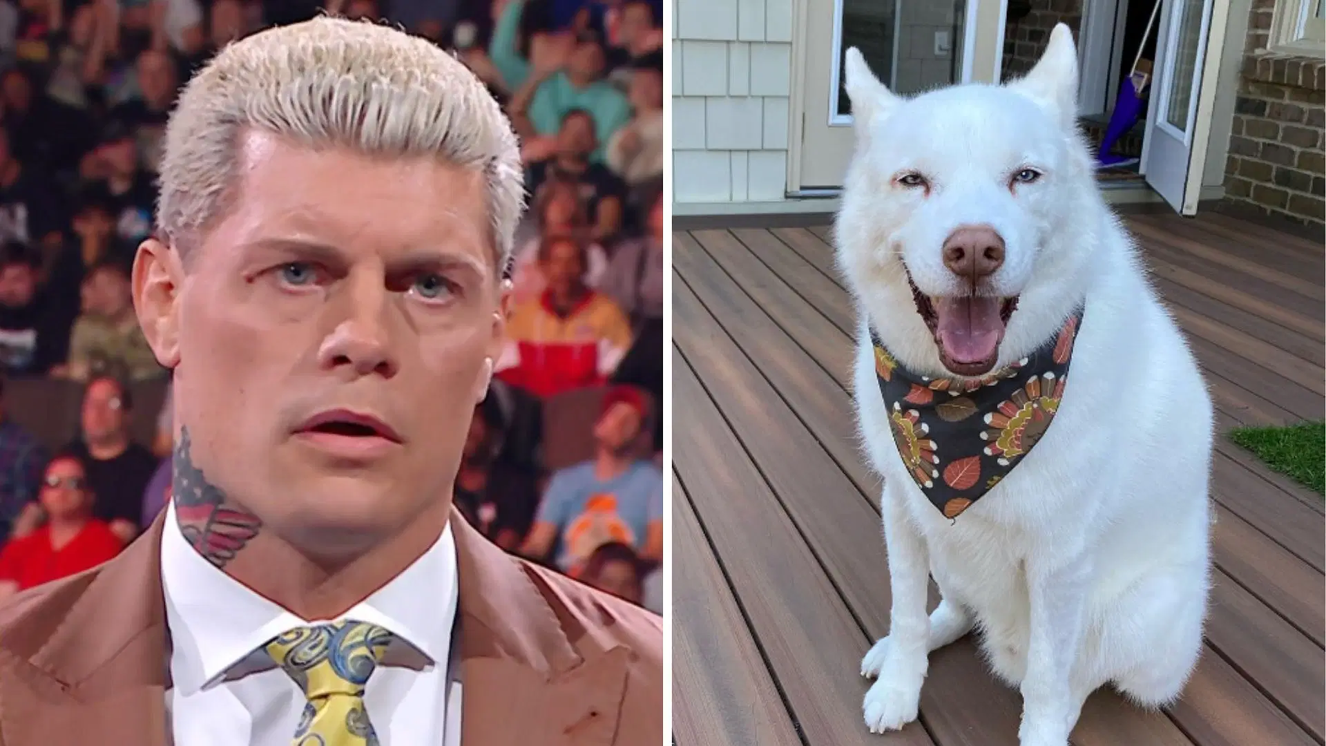 Cody Rhodes