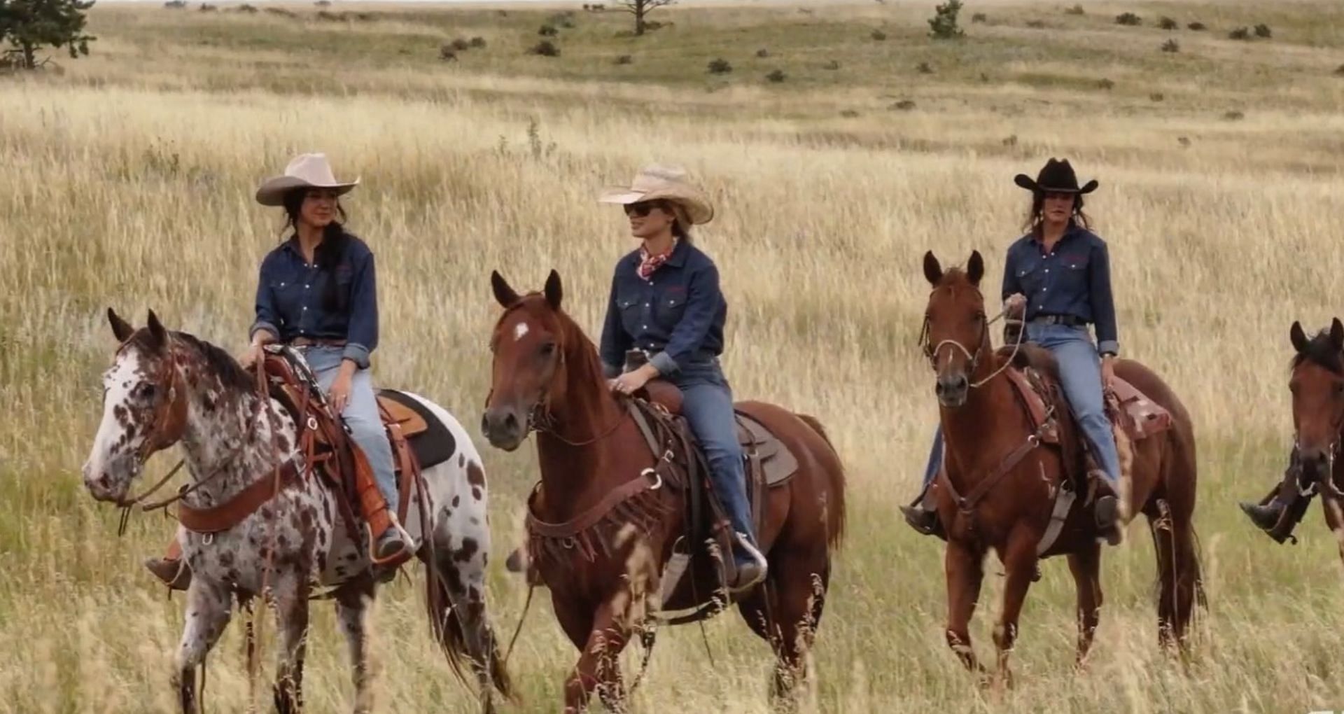 The Wranglers season 1: Release date, where to watch, plot, and more