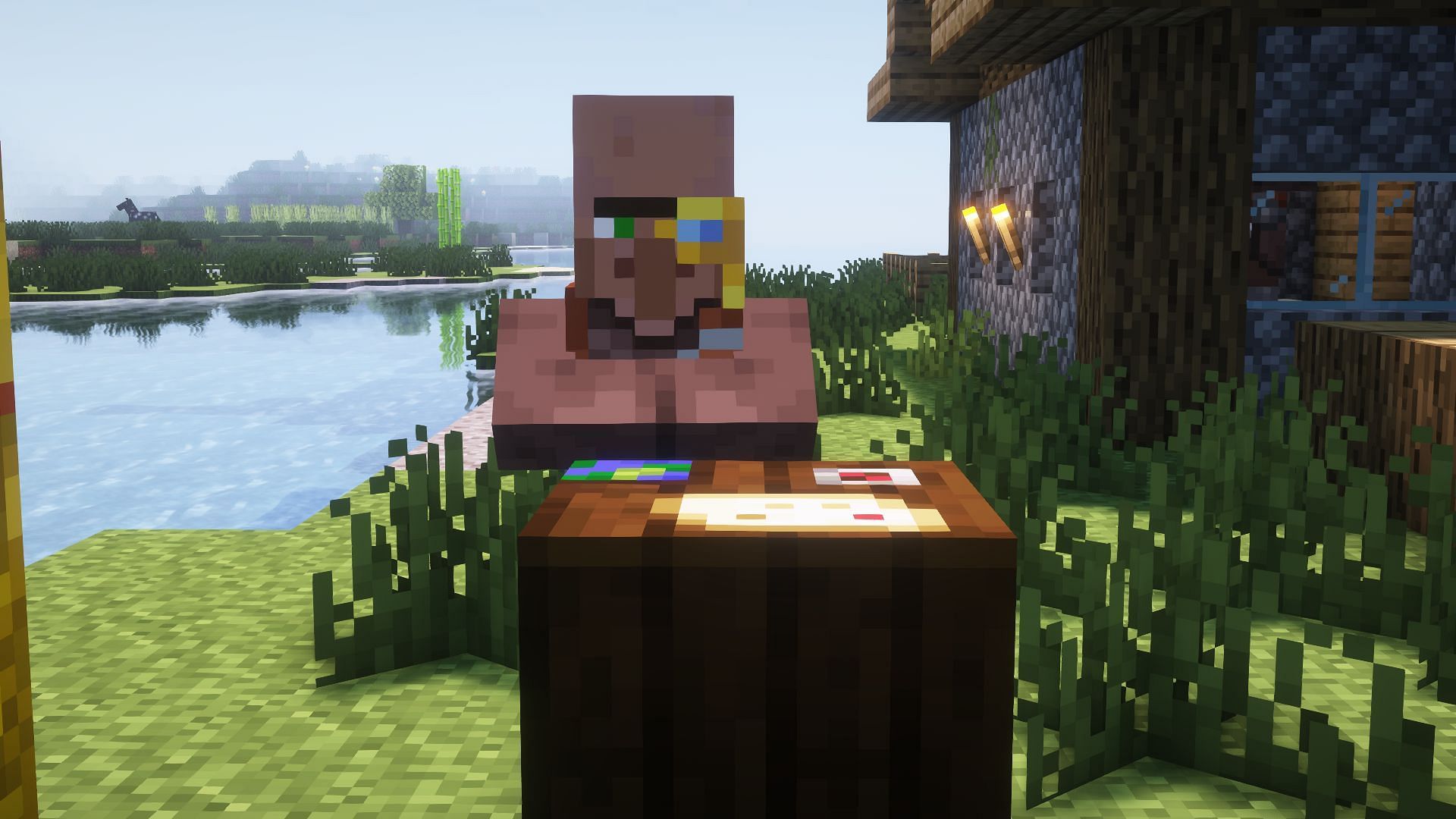 Cartographer is one of the best professional villagers (Image via Mojang Studios)