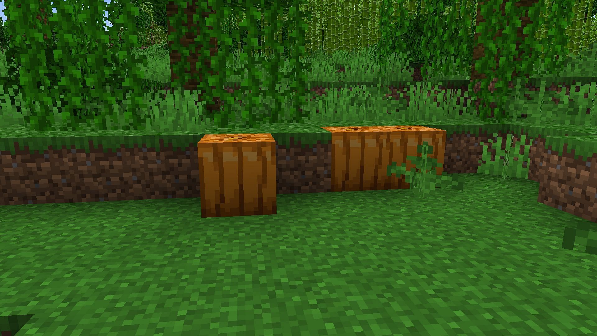 You will find pumpkins in the wild (Image via Mojang Studios)