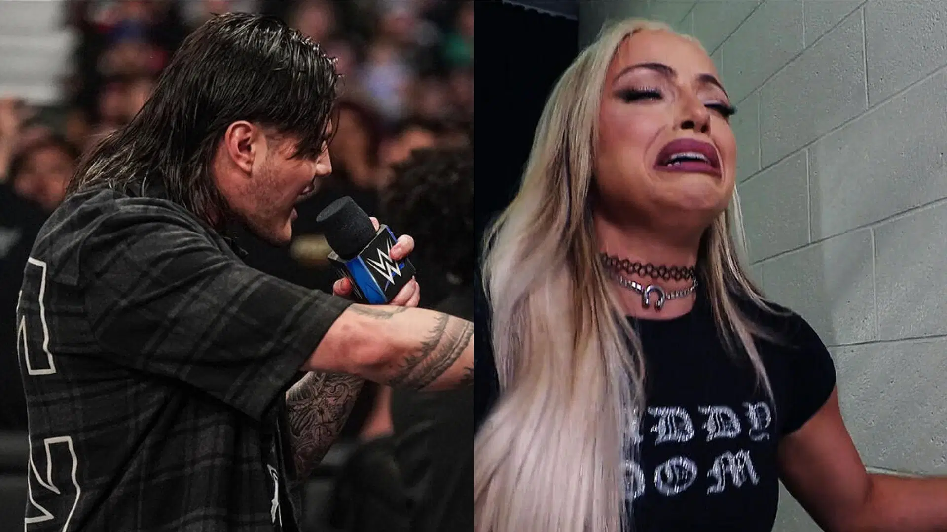 Dominik Mysterio knew what he was doing (Credit: WWE.com)