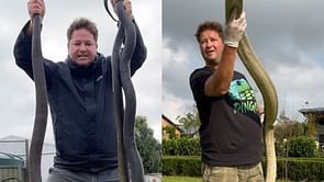 What happened to Graham Dingo Dinkelman? All about the popular snake handler and YouTuber as he passes away