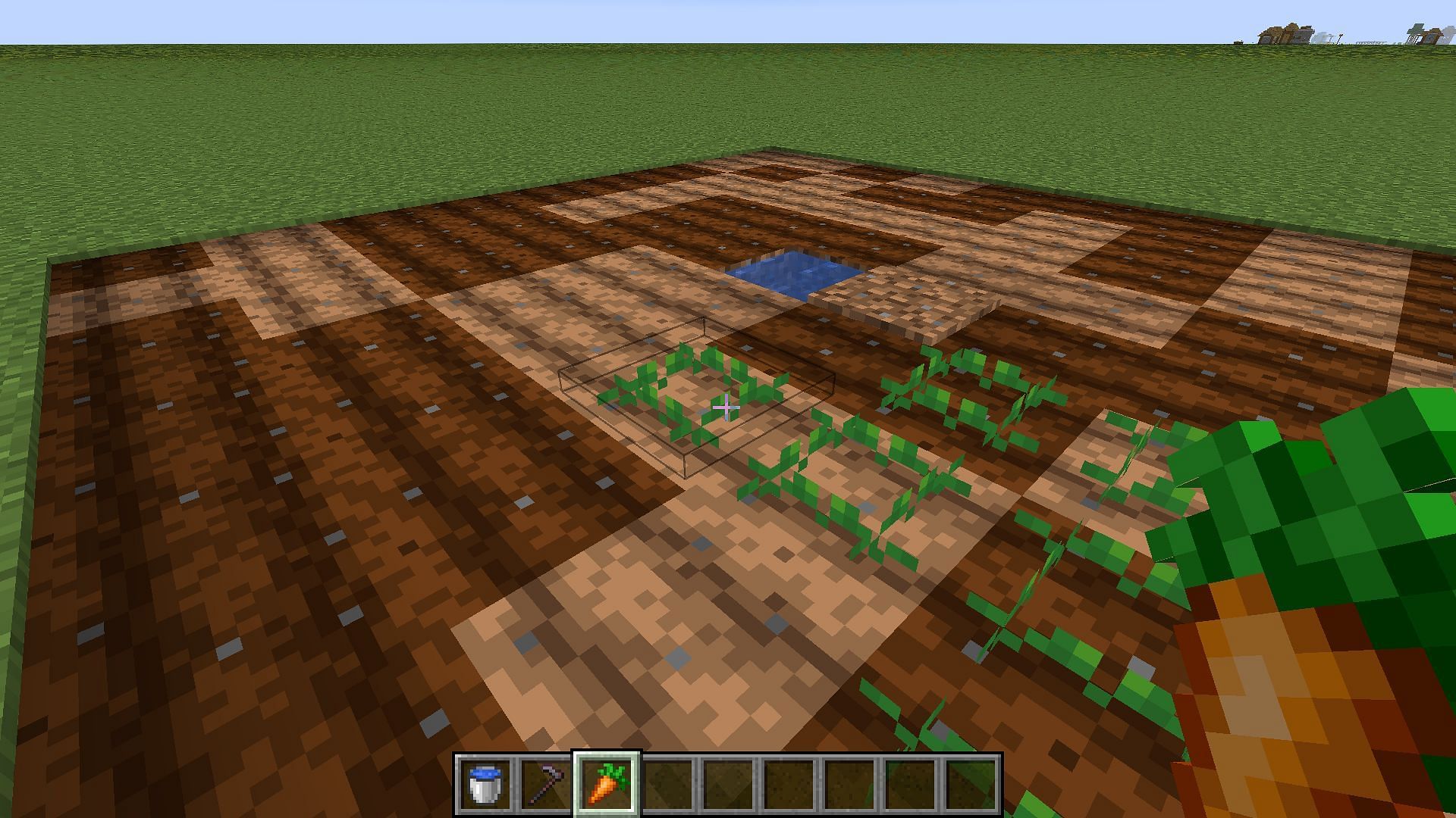 Place carrots on all the tilled blocks (Image via Mojang Studios)