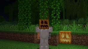 Minecraft carving pumpkin tutorial