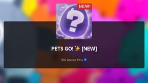 Pets Go beginner's guide and what to do first