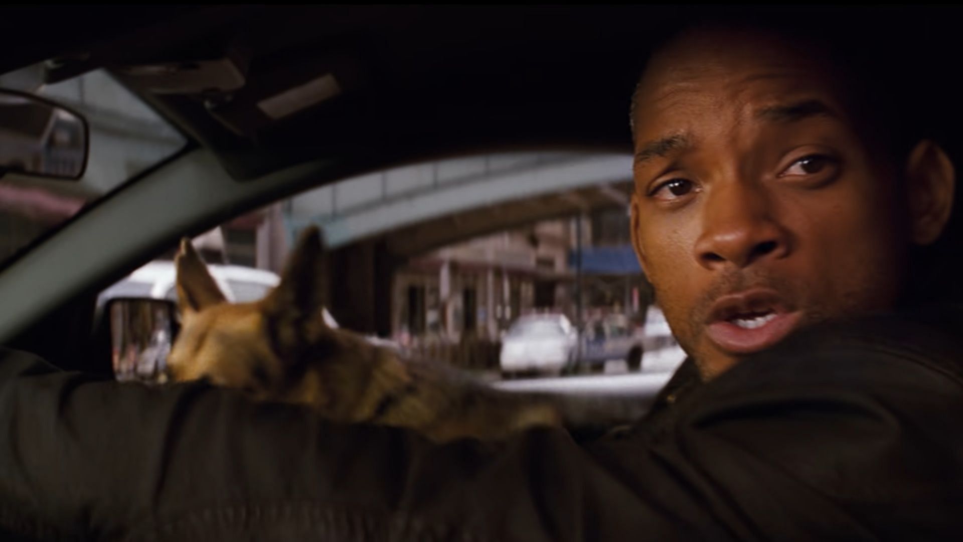 I Am Legend is a 2007 film starring Will Smith. (Image via Netflix)