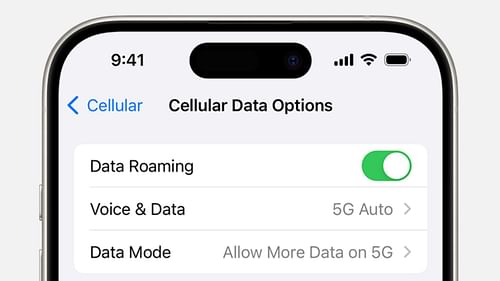 Data Roaming in settings (image via Apple)