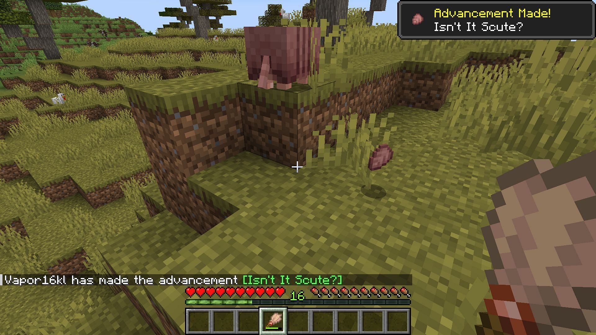 You get an achievement for collecting armadillo scutes as well (Image via Mojang)