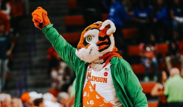 Clemson Tigers&#039; Mascot (@thetiger_cu on Instagram)