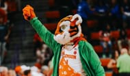 Clemson Tigers' Mascot (@thetiger_cu on Instagram)