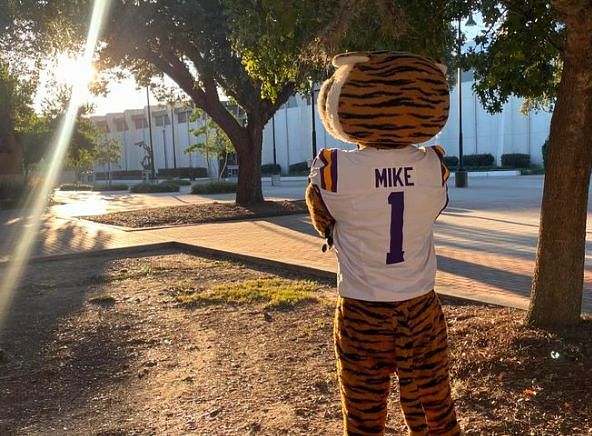 LSU&#039;s Tiger Mike (@lsumiketiger on Instagram)