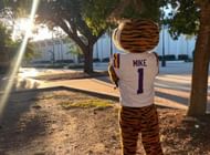 LSU's Tiger Mike (@lsumiketiger on Instagram)