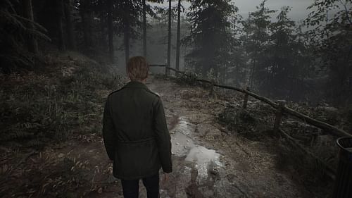 SH2 easily runs at high settings on the RTX 3080 (Image via PlayStation)